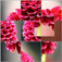 Picture Puzzle